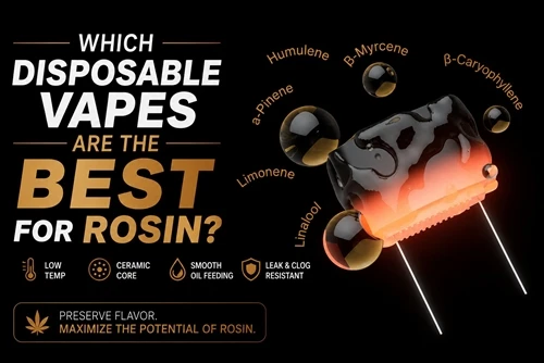 रोज़िन के लिए कौन से डिस्पोजेबल वेप्स सर्वश्रेष्ठ हैं?